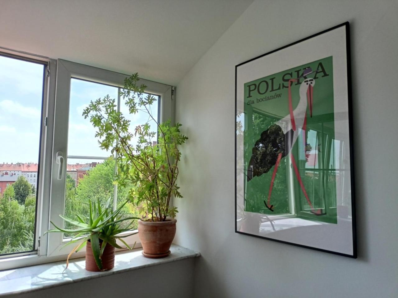 Lemuria Pokoje Hostel Chojnowska A Легница Екстериор снимка